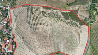Land for sale in Mirandela, Portugal