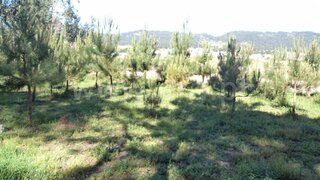 Land for sale in Esposende, Portugal — €45,750