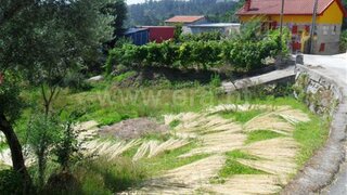Land for sale in Fafe, Portugal — €36,500