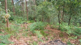 Land for sale in Fafe, Portugal — €36,000