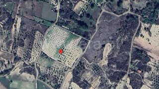 Land for sale in Mirandela, Portugal — €35,000