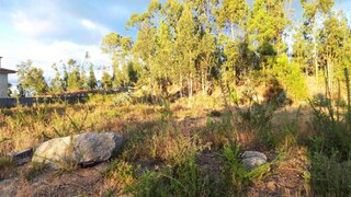 Land for sale in Barcelos, Portugal — €47,000