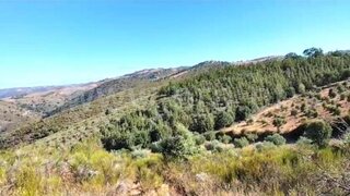 Land for sale in Vimioso, Portugal — €35,000