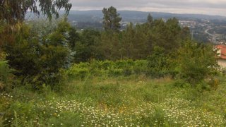 Land for sale in Fafe, Portugal