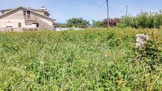 Land for sale in Esposende, Portugal — €73,000