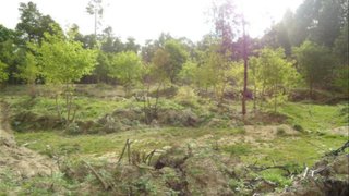 Land for sale in Fafe, Portugal