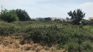 Land for sale in Esposende, Portugal — €12,500