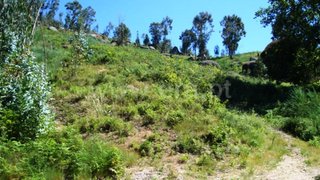 Terreno em Póvoa de Lanhoso