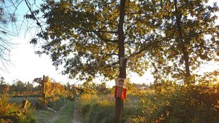 Land for sale in Barcelos, Portugal — €42,000