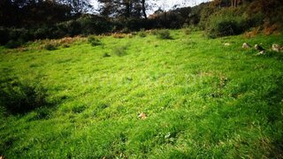 Land for sale in Guimarães, Portugal — €38,000