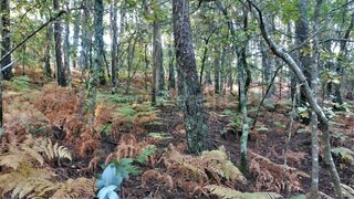 Land for sale in Amares, Portugal — €45,000