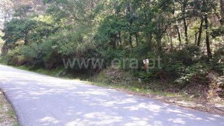 Land for sale in Vieira do Minho, Portugal — €10,000