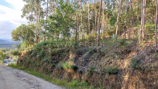 Land for sale in Barcelos, Portugal — €62,500