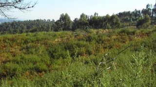 Land for sale in Fafe, Portugal