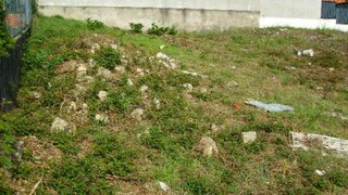 Land for sale in Fafe, Portugal
