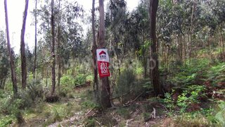 Land for sale in Barcelos, Portugal — €20,000