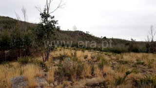 Land for sale in Barcelos, Portugal — €9,000