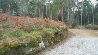 Land for sale in Barcelos, Portugal — €52,500