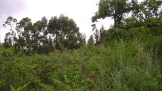 Land for sale in Póvoa de Lanhoso, Portugal — €35,000