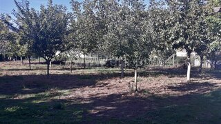 Land for sale in Barcelos, Portugal — €67,000