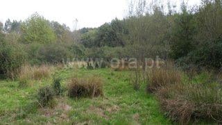 Land for sale in Fafe, Portugal