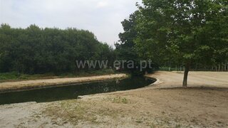 Land for sale in Fafe, Portugal — €31,500