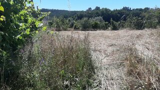 Land for sale in Cabeceiras de Basto, Portugal — €56,500