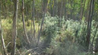 Land for sale in Celorico de Basto, Portugal — €23,750
