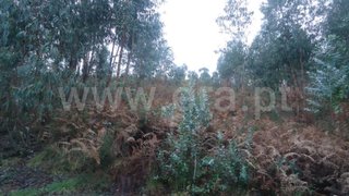 Land for sale in Fafe, Portugal — €30,000