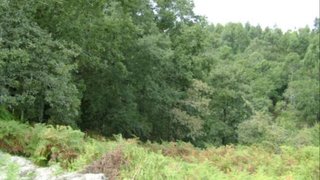 Land for sale in Vieira do Minho, Portugal — €25,000