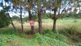 Land for sale in Esposende, Portugal — €70,000