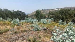 Land for sale in Guimarães, Portugal — €67,380
