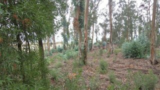 Land for sale in Fafe, Portugal — €31,000