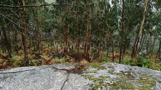 Land for sale in Fafe, Portugal — €8,500