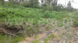Land for sale in Fafe, Portugal — €10,000
