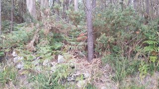 Land for sale in Barcelos, Portugal — €29,500