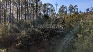 Land for sale in Barcelos, Portugal — €25,000
