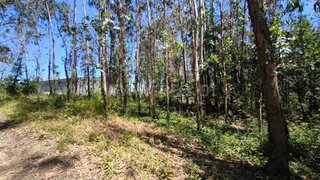 Land for sale in Barcelos, Portugal — €57,500