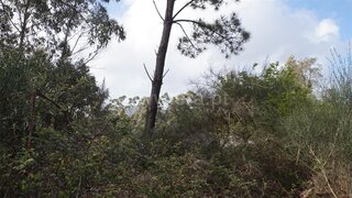 Land for sale in Barcelos, Portugal — €37,500