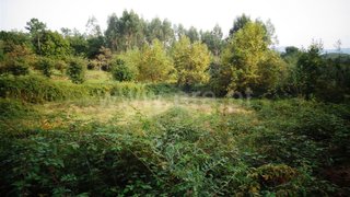 Land for sale in Póvoa de Lanhoso, Portugal — €30,000