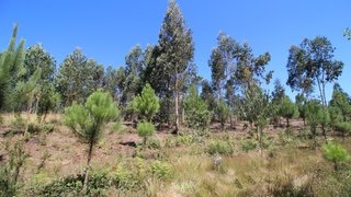 Land for sale in Vila Nova de Famalicão, Portugal — €55,000