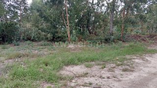 Land for sale in Fafe, Portugal — €275,000