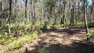 Land for sale in Fafe, Portugal — €35,000