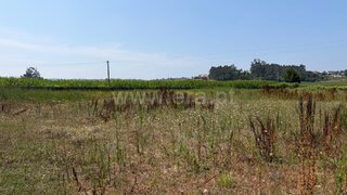 Land for sale in Barcelos, Portugal — €78,500