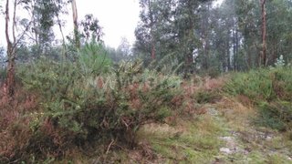 Terreno em Fafe