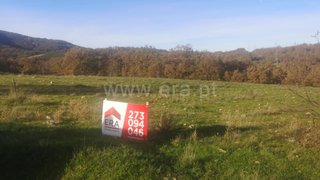 Terreno de 8600 m² em Bragança