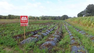Land for sale in Esposende, Portugal — €20,000