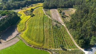 Land for sale in Barcelos, Portugal — €10,000