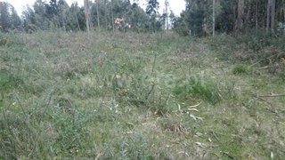 Land for sale in Fafe, Portugal — €30,000