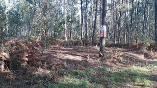 Land for sale in Barcelos, Portugal — €66,600